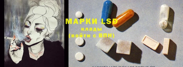 ешки Аркадак